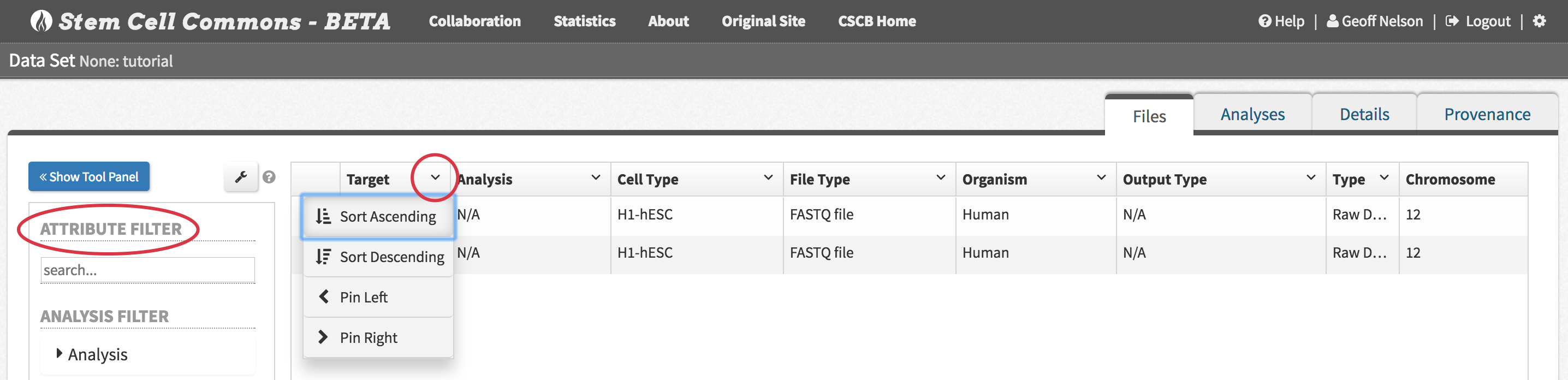 FileBrowser